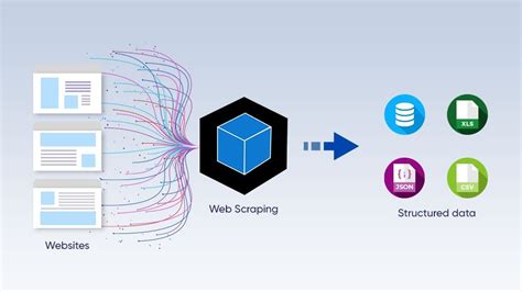 Kayat Web Analysis .